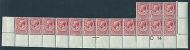 N16(1) 1d Bright Scarlet Royal Cypher Control D14 perf plate 18 MOUNTED MINT