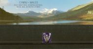 2000 Wales Definitive Pack no.51 Presentation pack - Complete