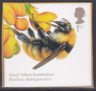 PM48 2015 Sg3743 Bumblebee 1st class stamp out of booklet - self adhesive