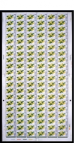 1967 British Wild Flowers 1 9 (Ord) No dot Complete Sheet UNMOUNTED MINT MNH